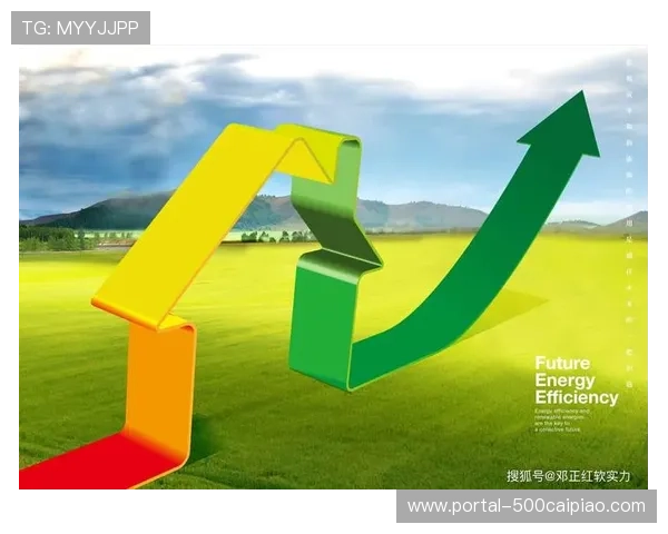 节俭办赛原则贯穿始终，资源利用效率显著提升
